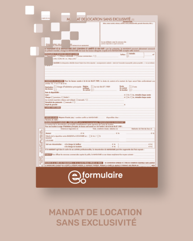Mandat simple de location - En ligne