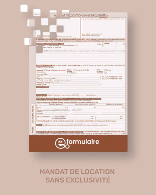 Mandat simple de location - En ligne
