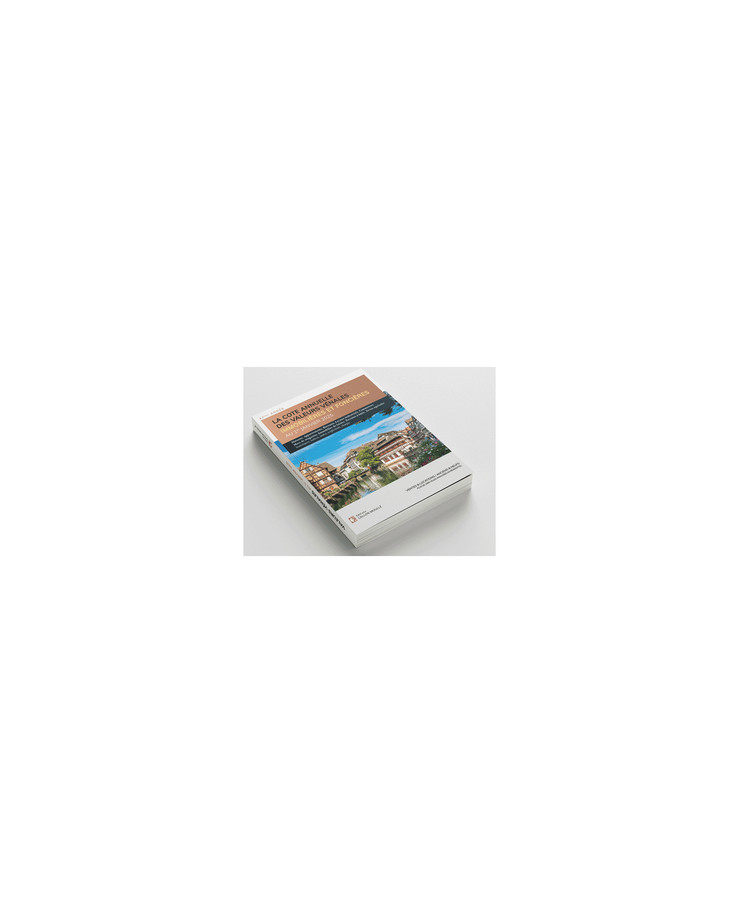 La cote annuelle des valeurs vénales immobilières et foncières au 1er Janvier 2025
