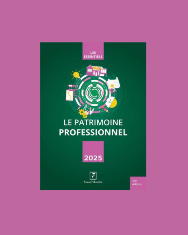 Le patrimoine professionnel
