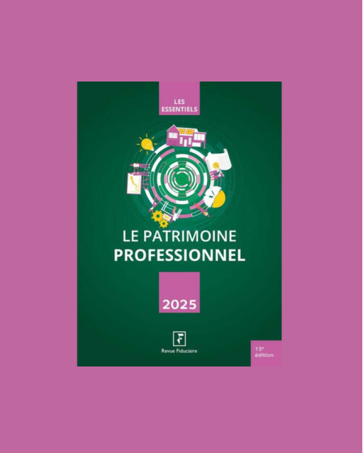 Le patrimoine professionnel