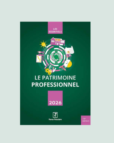 Le patrimoine professionnel