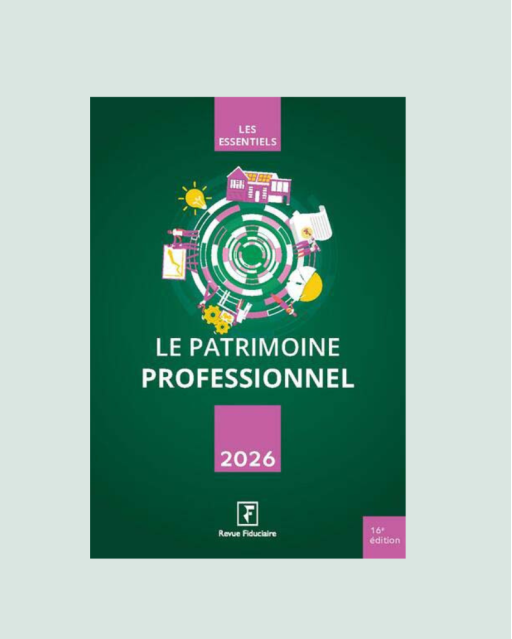 Le patrimoine professionnel