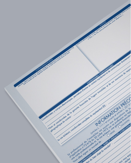Information précontractuelle  gestion - lot de 25