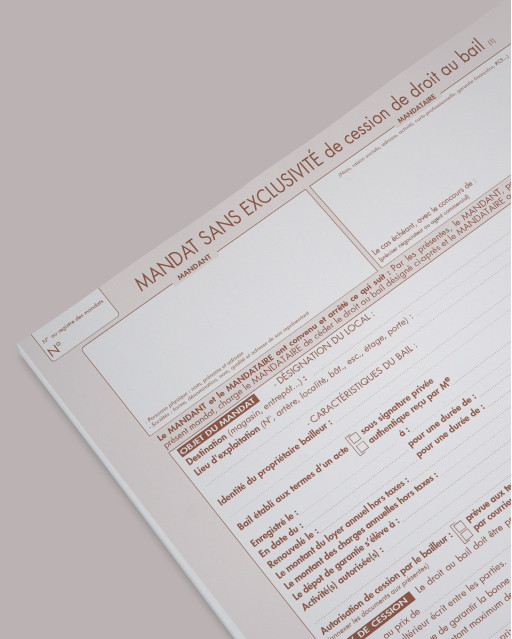 Mandat simple de cession de droit au bail - lot de 25