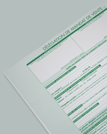 Délégation de mandat de vente - lot de 25
